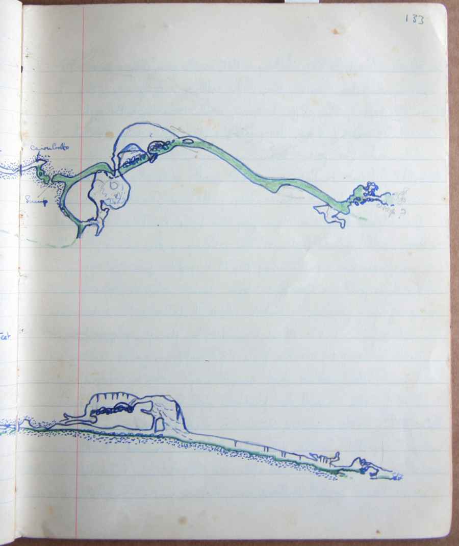 Page 133.jpg
